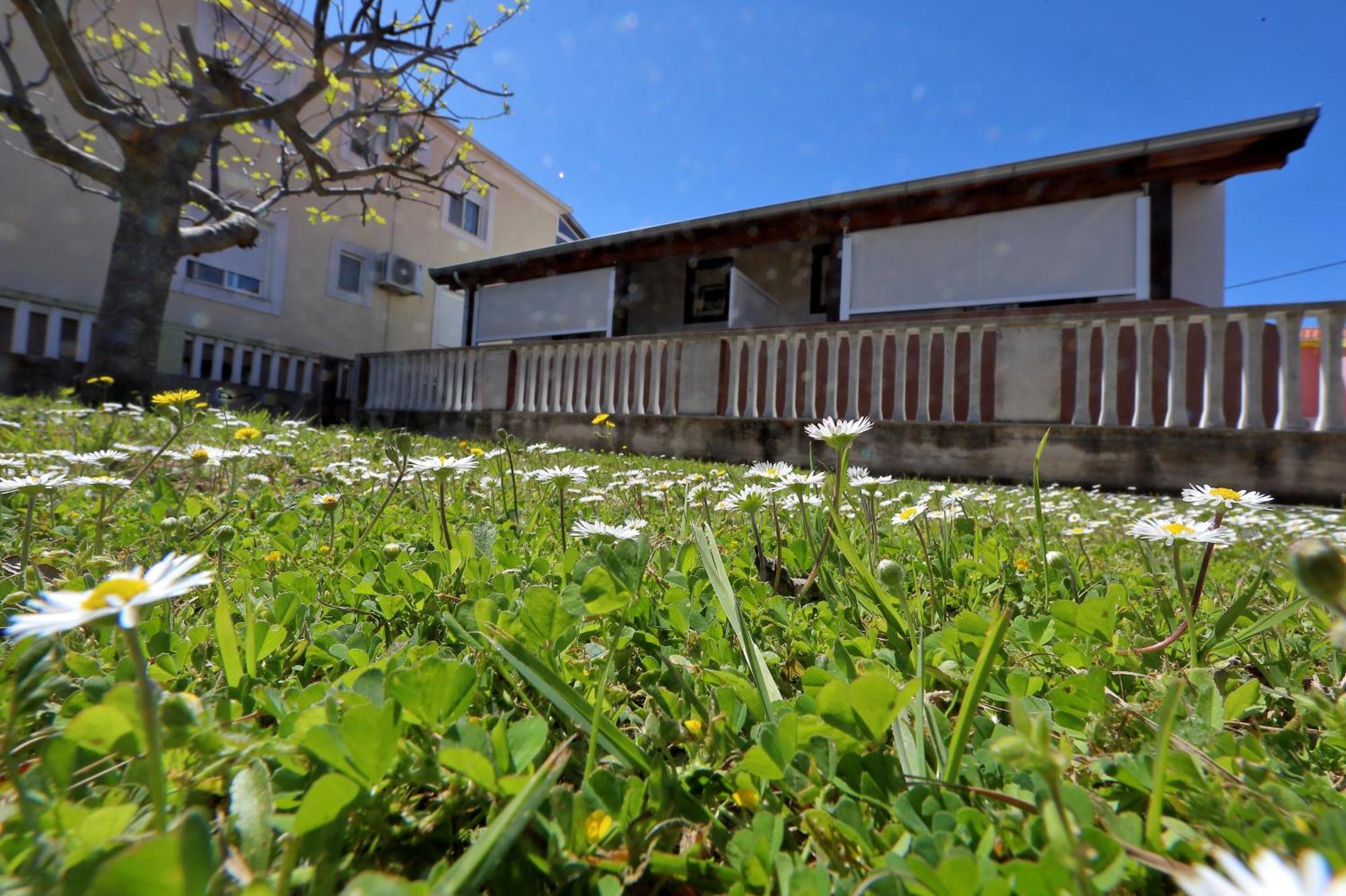 Apartments Ivana Bibinje Exterior photo